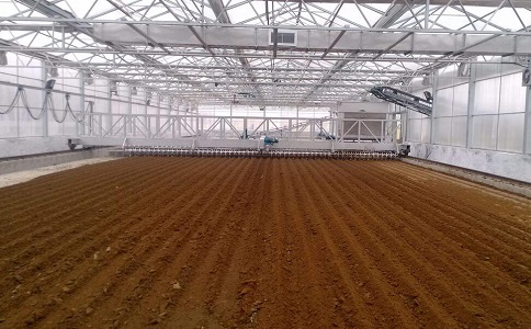 污泥干化處理 污泥干化處理